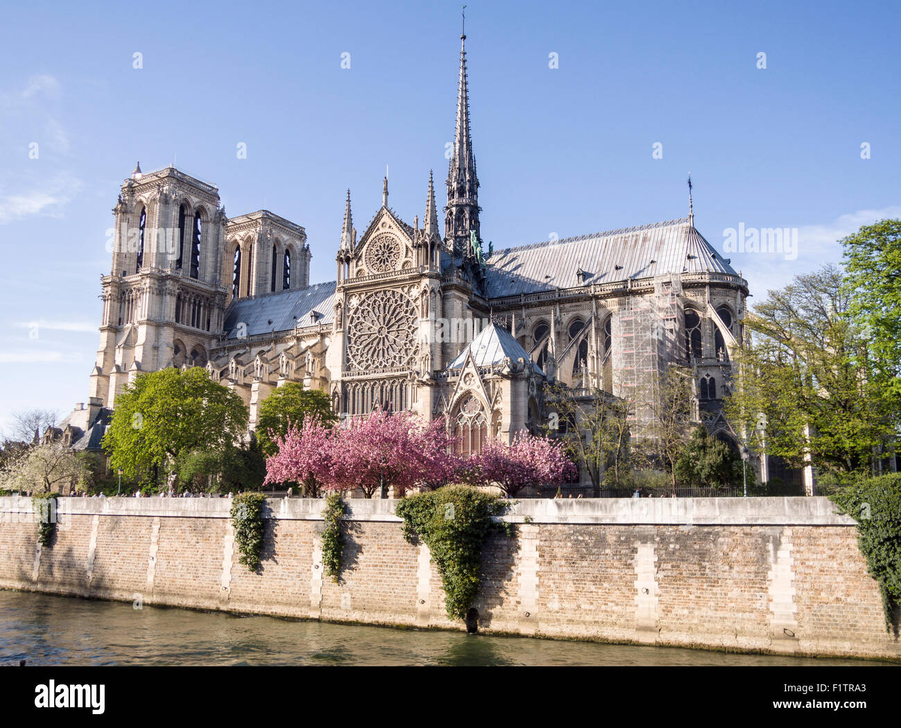 Kathedrale Notre-Dame aus über die Seine. Die ummauerte Fluss bildet eine Basis für diese Ansicht der Westfassade der Kathedrale. F Stockfoto