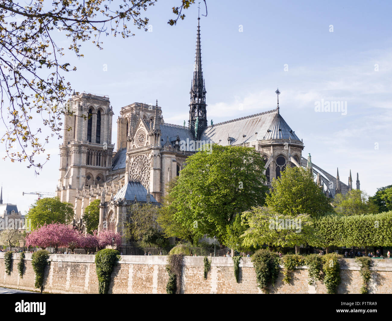 Kathedrale Notre-Dame aus über die Seine. Die Wand der kanalisierte Fluss bildet eine Basis für diese Sicht auf der berühmten Kathedrale Stockfoto