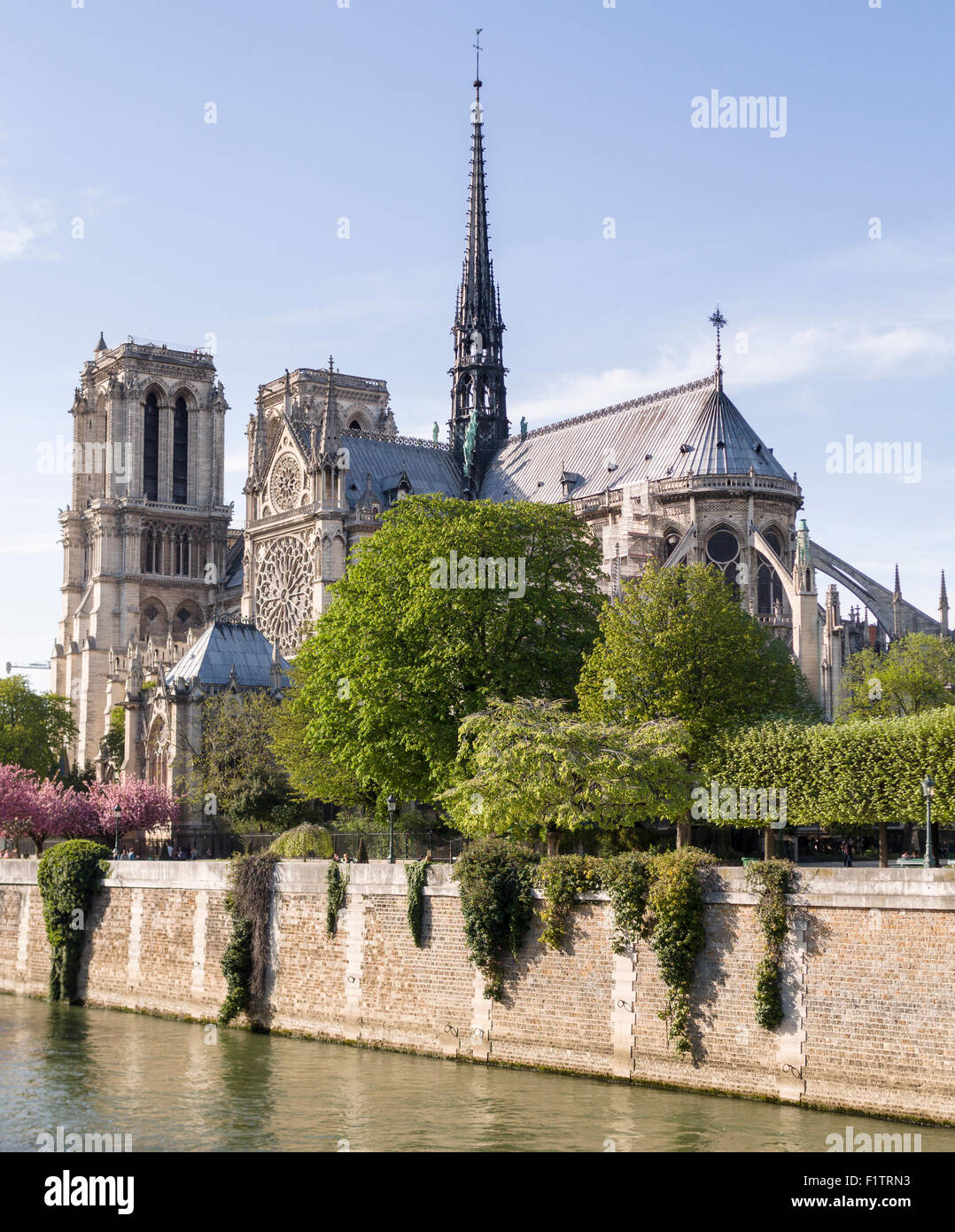 Kathedrale Notre-Dame aus über die Seine. Die ummauerte Fluss bildet eine Basis für diese Ansicht der Westfassade der Kathedrale. Stockfoto