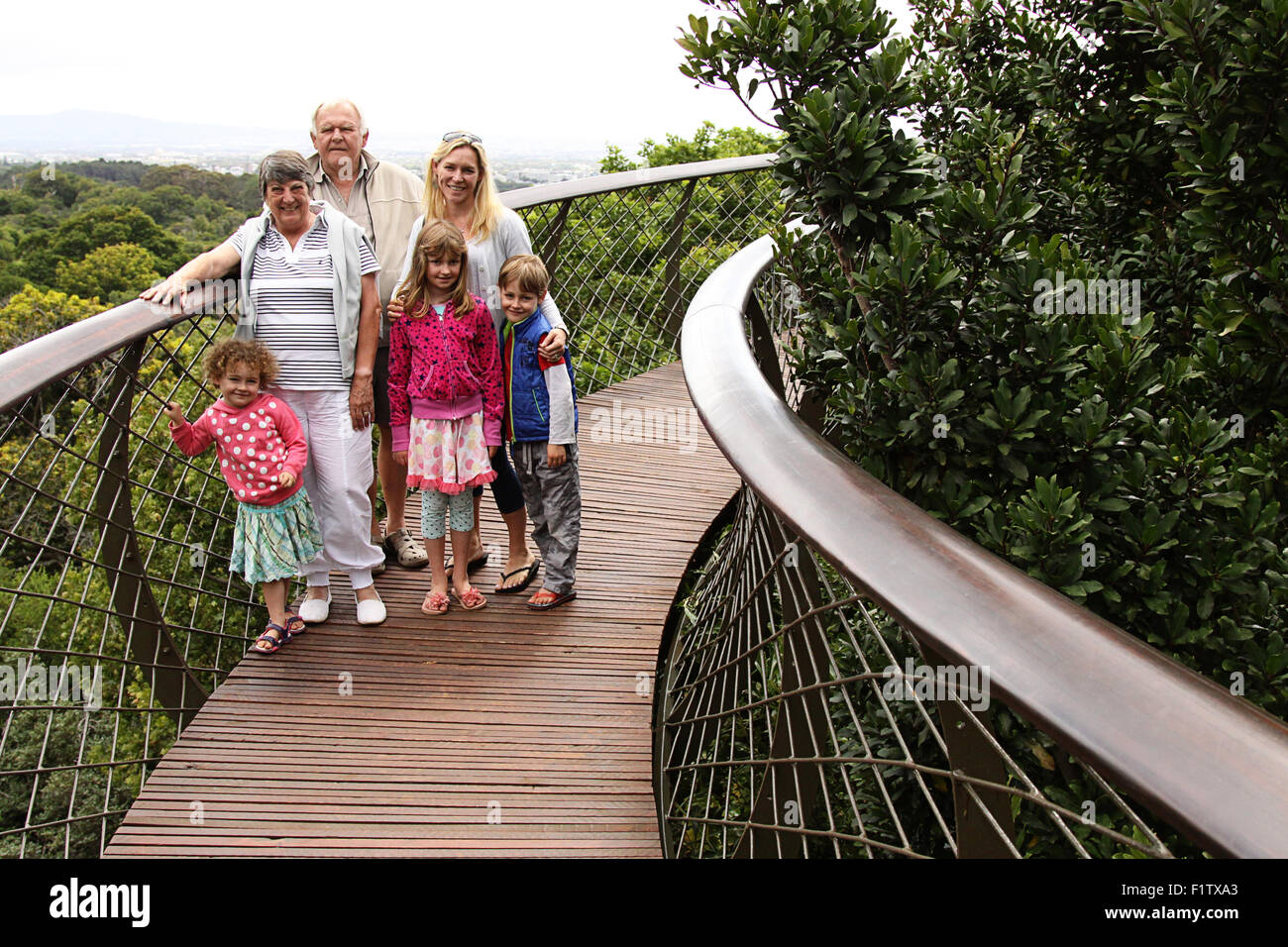 Familie auf Boomslang Skywalk in Kirstenbosch Stockfoto