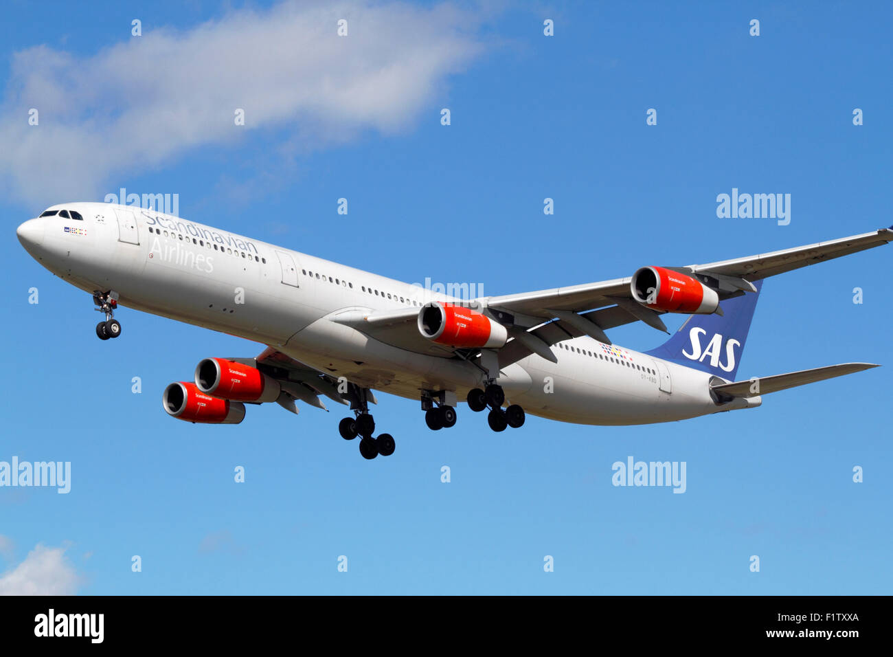 SAS Scandinavian Airlines A340-300, Flug SK936, OY-KBD, im Endanflug nach Flughafen Kopenhagen, Kopenhagen, Dänemark von SF, Vereinigte Staaten Stockfoto