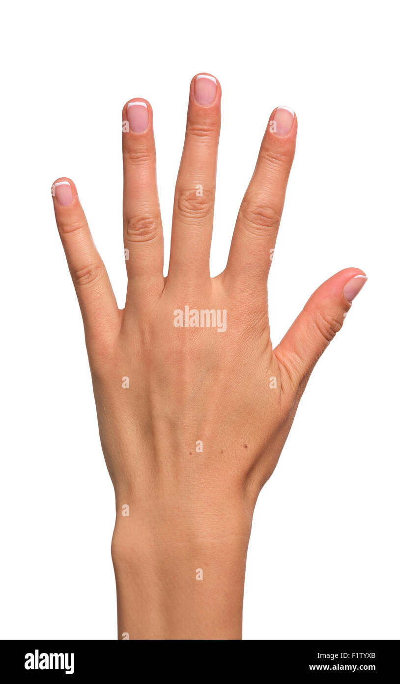 Zählung Frau übergibt fünf. Stockfoto