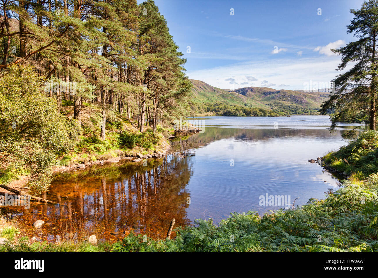 Loch Trool und Galloway Hills, Dumfries and Galloway, Schottland. Stockfoto