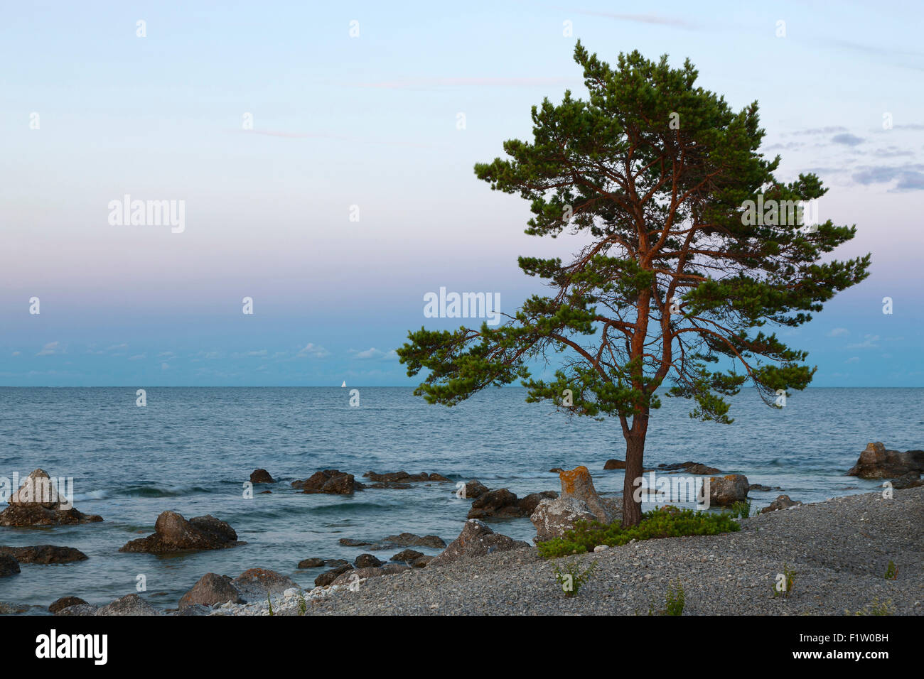 Segeln an der Küste von Gotland, Schweden Stockfoto