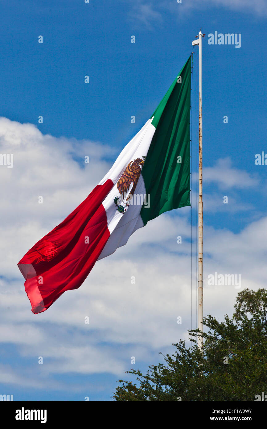Die mexikanische Flagge - OAXACA, Mexiko Stockfoto