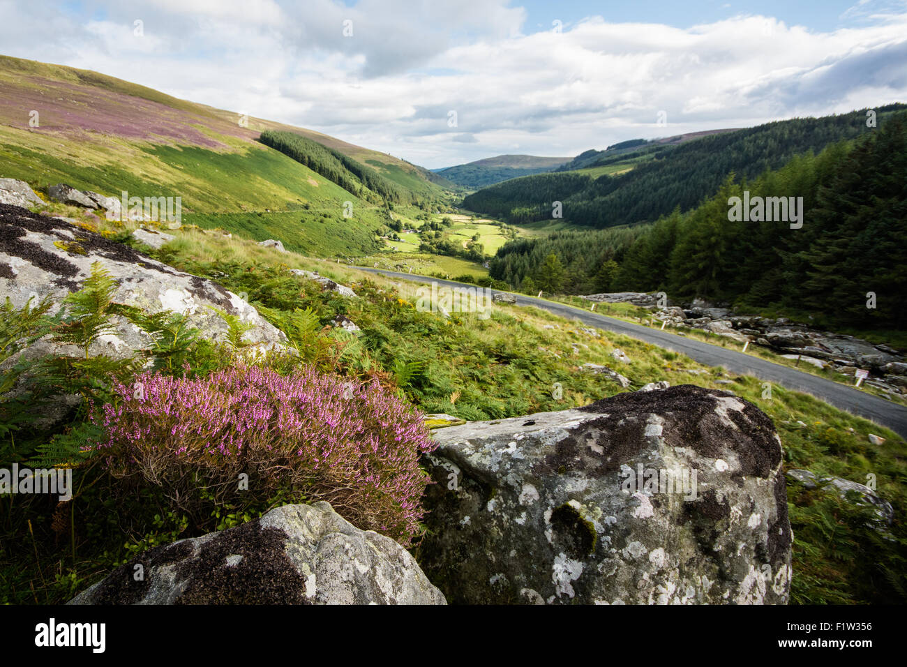 Blick auf die Altstadt Military Road touristische Route durch Glenmacnass Tal in den Wicklow Mountains in Irland im Sommer mit Heidekraut Stockfoto