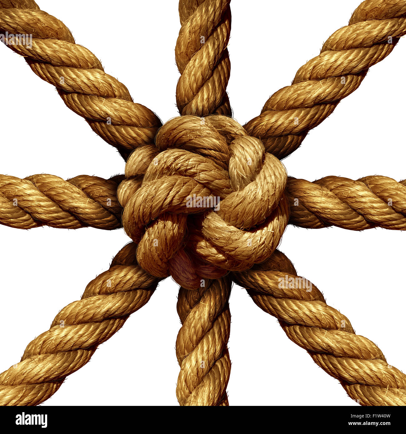 Connected Gruppe Business Konzept und Einheit Symbol als eine Sammlung von dicken Seilen kommen zusammen in einen Knoten in der Mitte als Symbol für die Netzstärke gebunden und Einheit Unterstützung isoliert auf einem weißen Hintergrund. Stockfoto