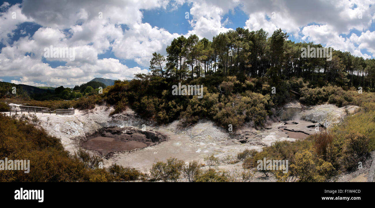 Wai-o-Tapu geothermal Bereich in Rotorua, Nordinsel, Neuseeland Stockfoto