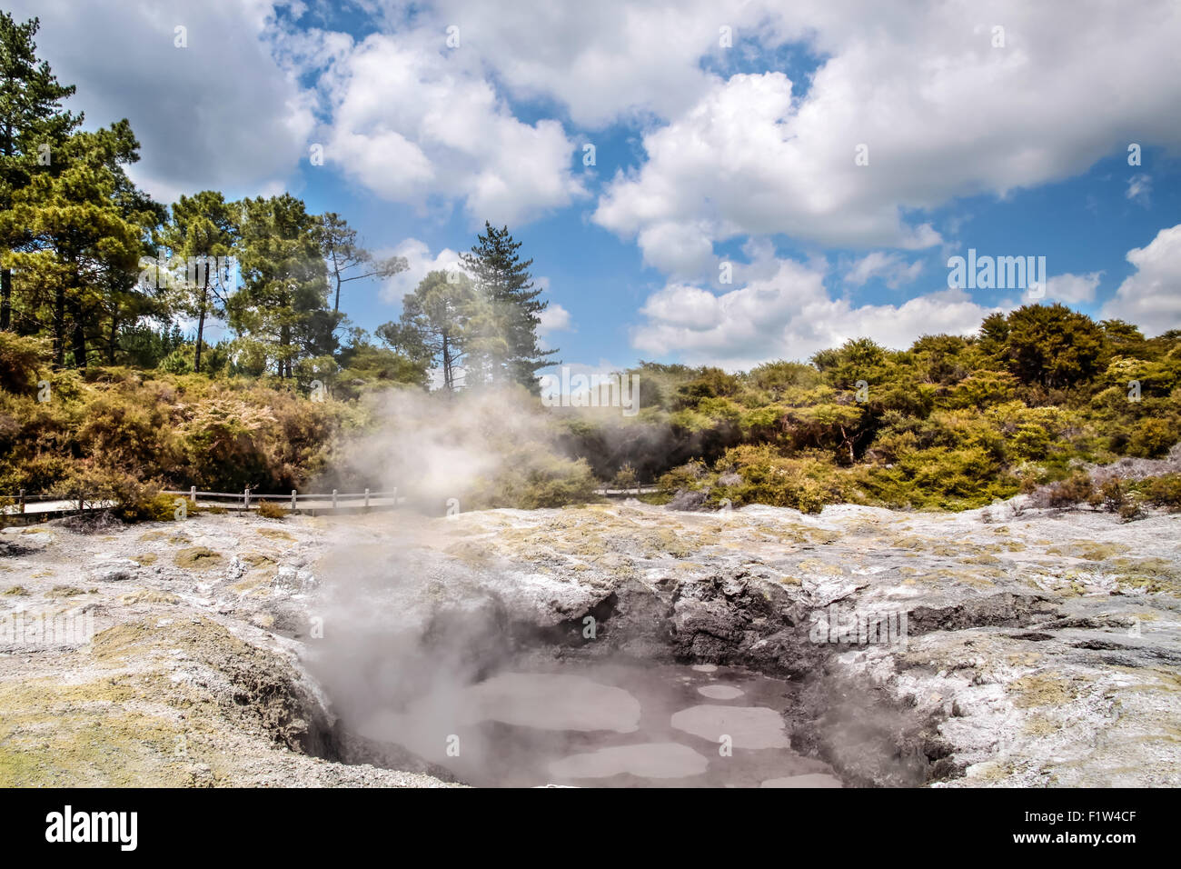 Wai-o-Tapu geothermal Bereich in Rotorua, Nordinsel, Neuseeland Stockfoto
