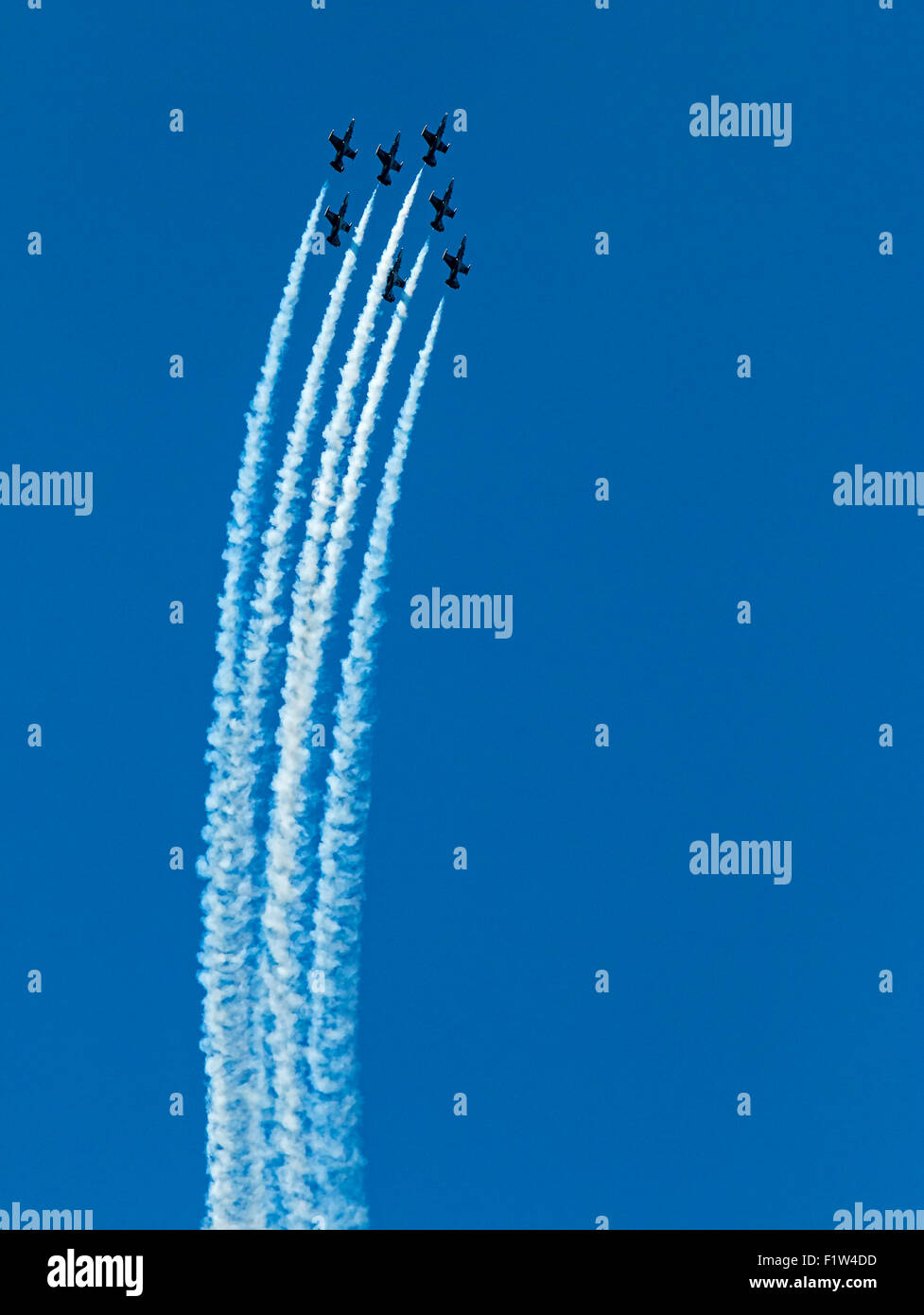 Das Breitling Jet Team erklingt in Seattles 2015 Seafair Air Show. Stockfoto