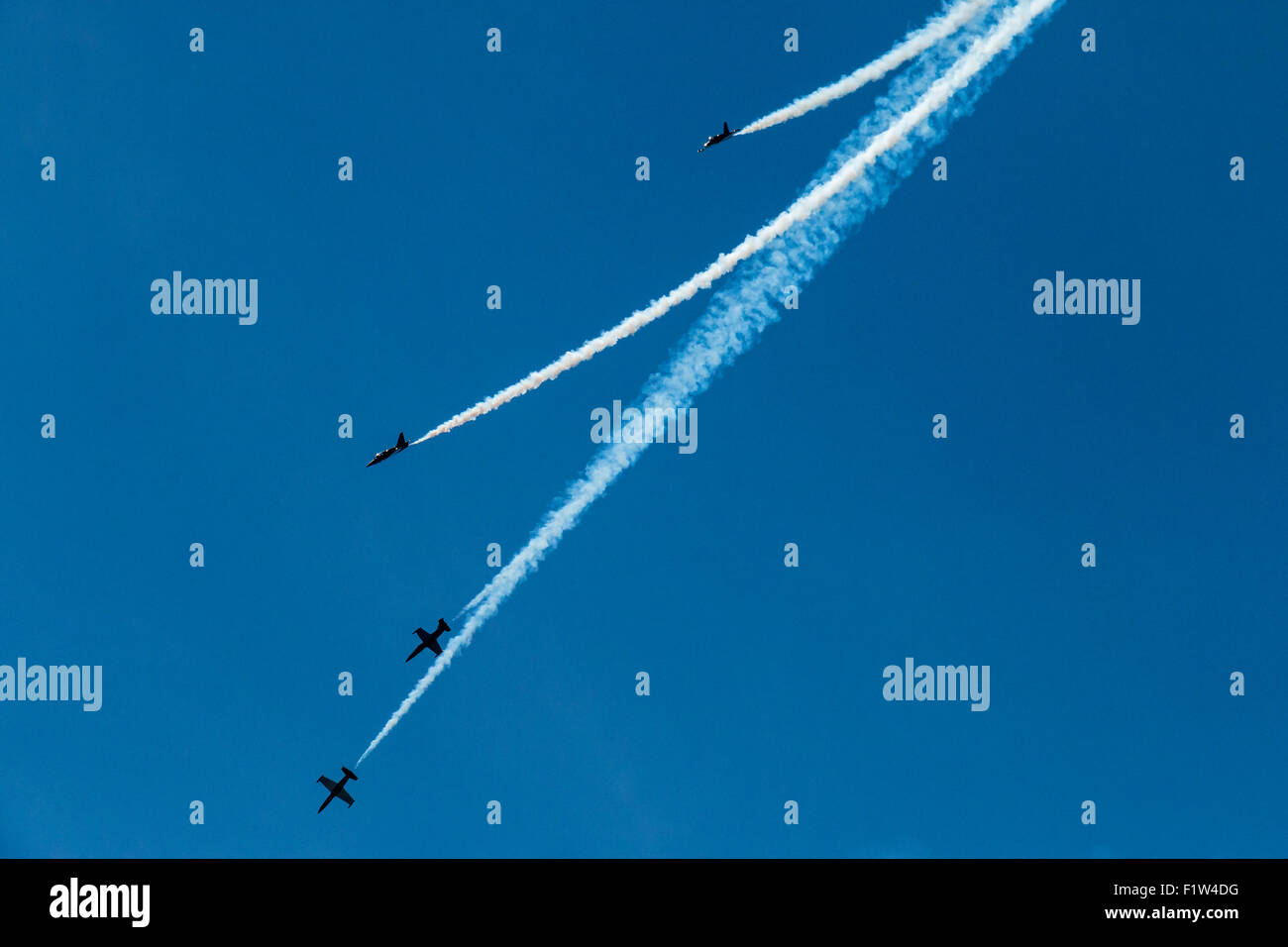 Das Breitling Jet Team erklingt in Seattles 2015 Seafair Air Show. Stockfoto