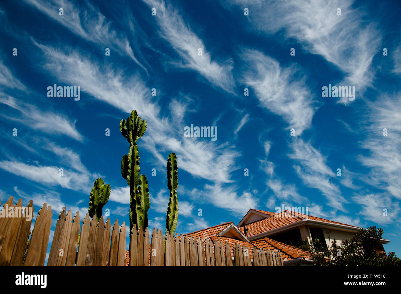 Cirrus Wolkenbildung Stockfoto