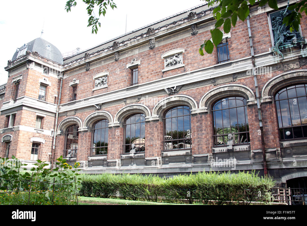 Das französische National Museum of Natural History, Paris Stockfoto