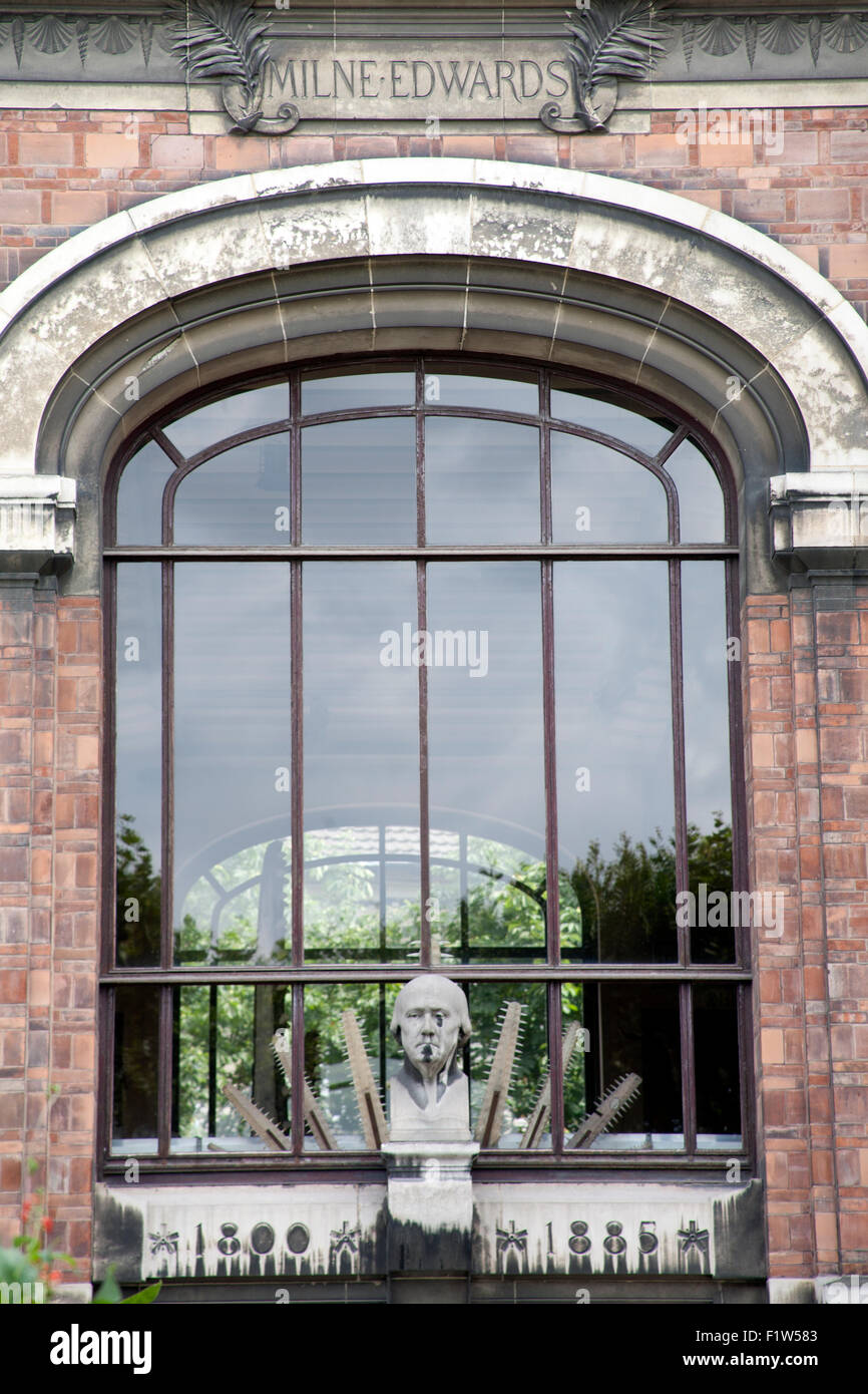 Fenster des französischen National Museum of Natural History, Paris Stockfoto