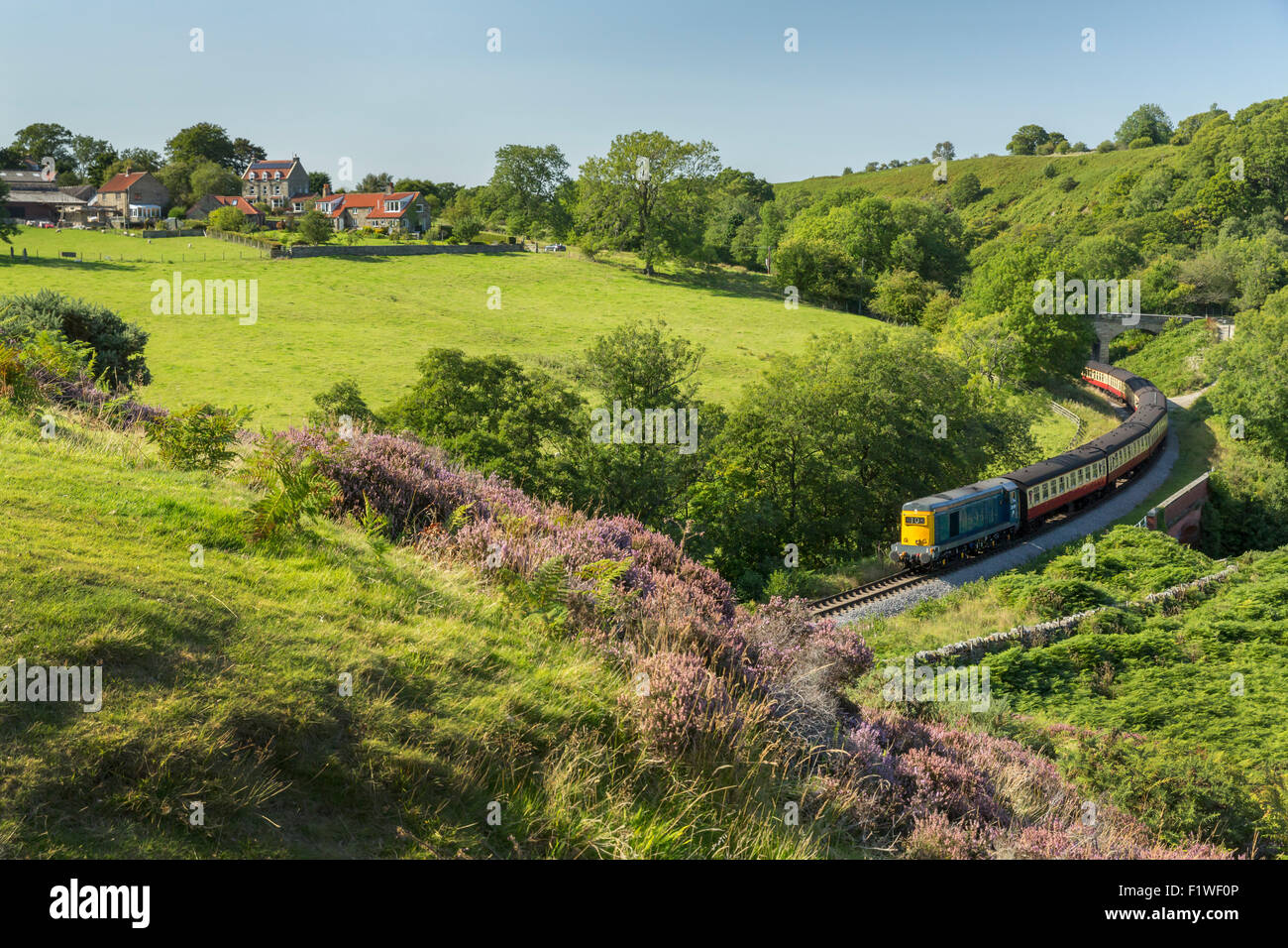 Ein Diesel-Zug nähert sich Goathland auf die North Yorkshire Moors Erbe Dampfeisenbahn. Stockfoto