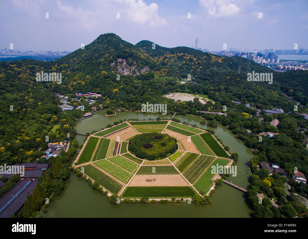 Hangzhou. 8. Sep, 2015. Foto aufgenommen am 8. September 2015 zeigt die acht Diagramme in Hangzhou, Hauptstadt der ostchinesischen Provinz Zhejiang. Als der Herbst kommt, haben Reife Körner einen Aufstand der Farben hier vorgestellt. © Xu Yu/Xinhua/Alamy Live-Nachrichten Stockfoto