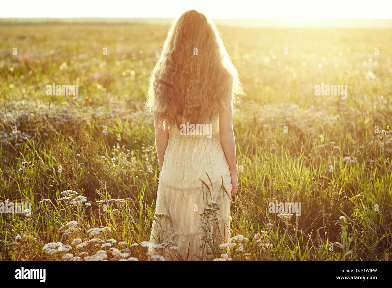 Junge schöne Mädchen auf einer Sommerwiese. Schönheit im Sommer. Modefoto Stockfoto