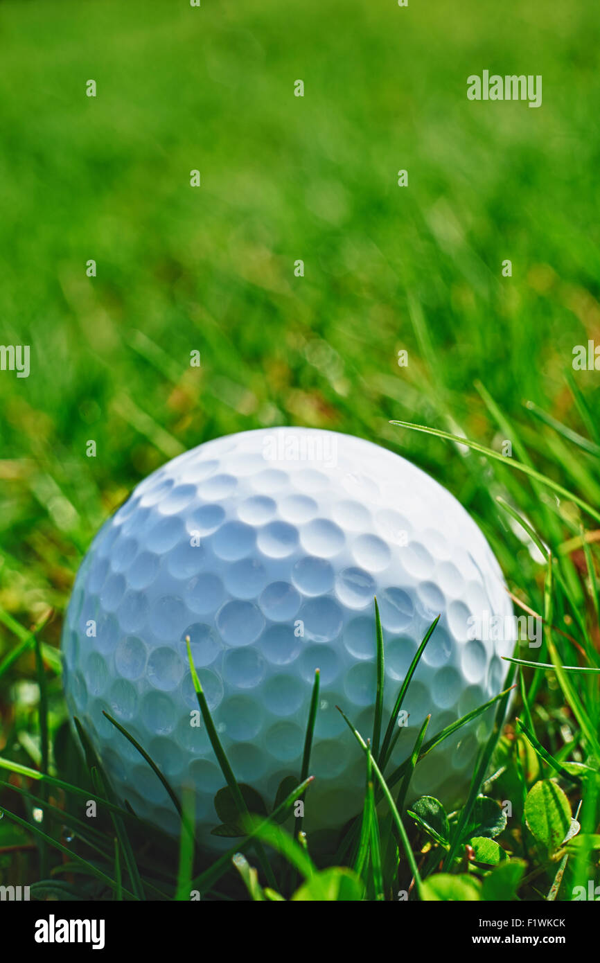 Nahaufnahme des Golfballs ruht im Rasen und Platz für Kopie Stockfoto