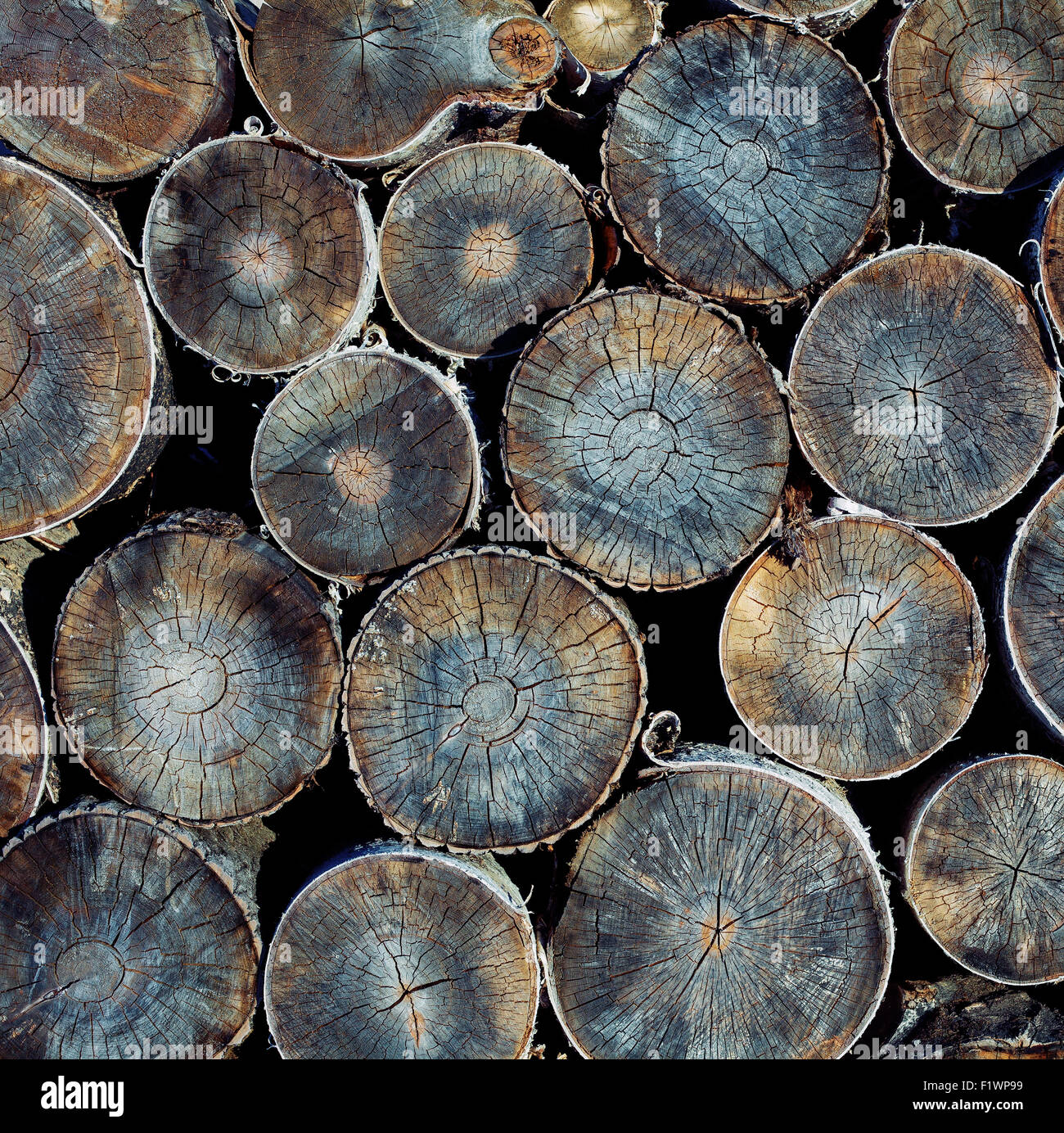 Haufen von Stückholz bereit für Nahaufnahmen Winter Textur Stockfoto