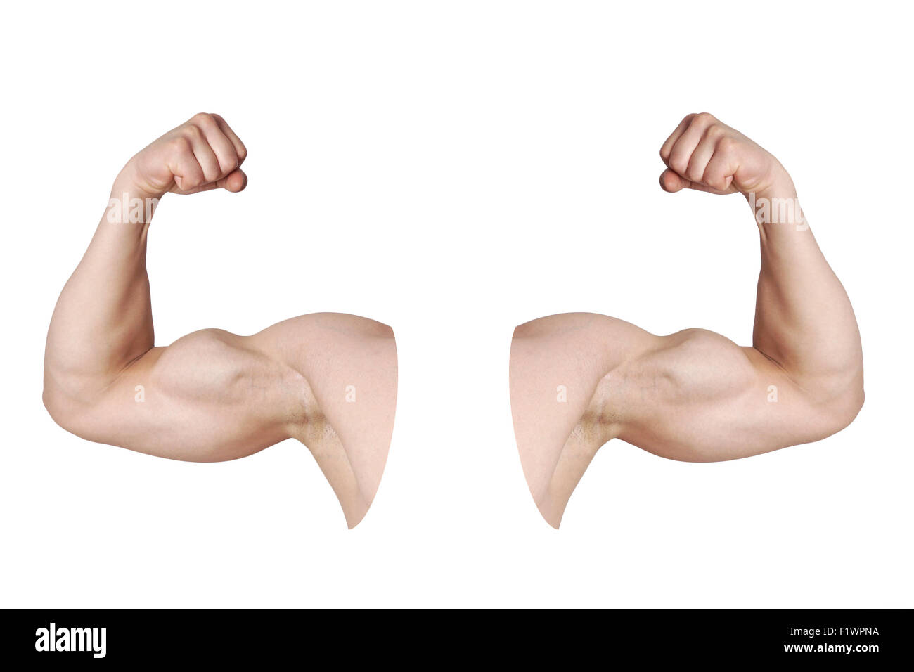 männlichen Arme mit gebeugten Bizeps Muskeln Stockfoto