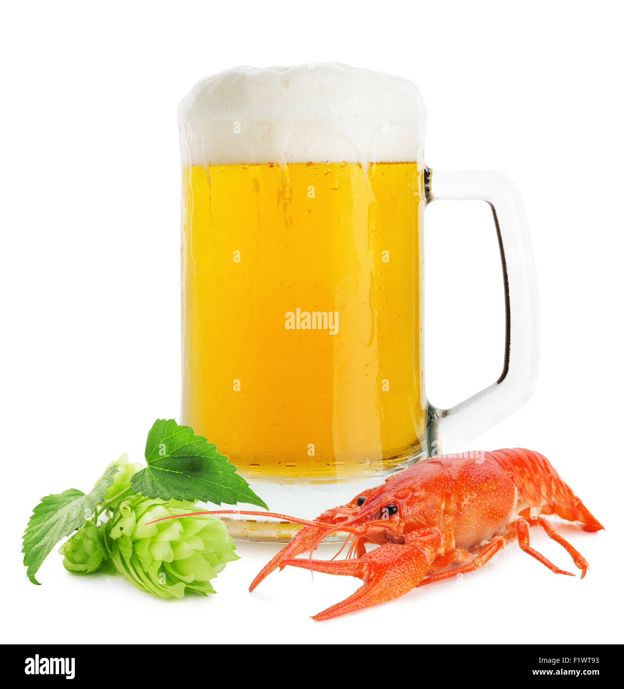 Krug Bier mit Hummer und grünen Hopfen auf dem weißen Hintergrund isoliert. Stockfoto