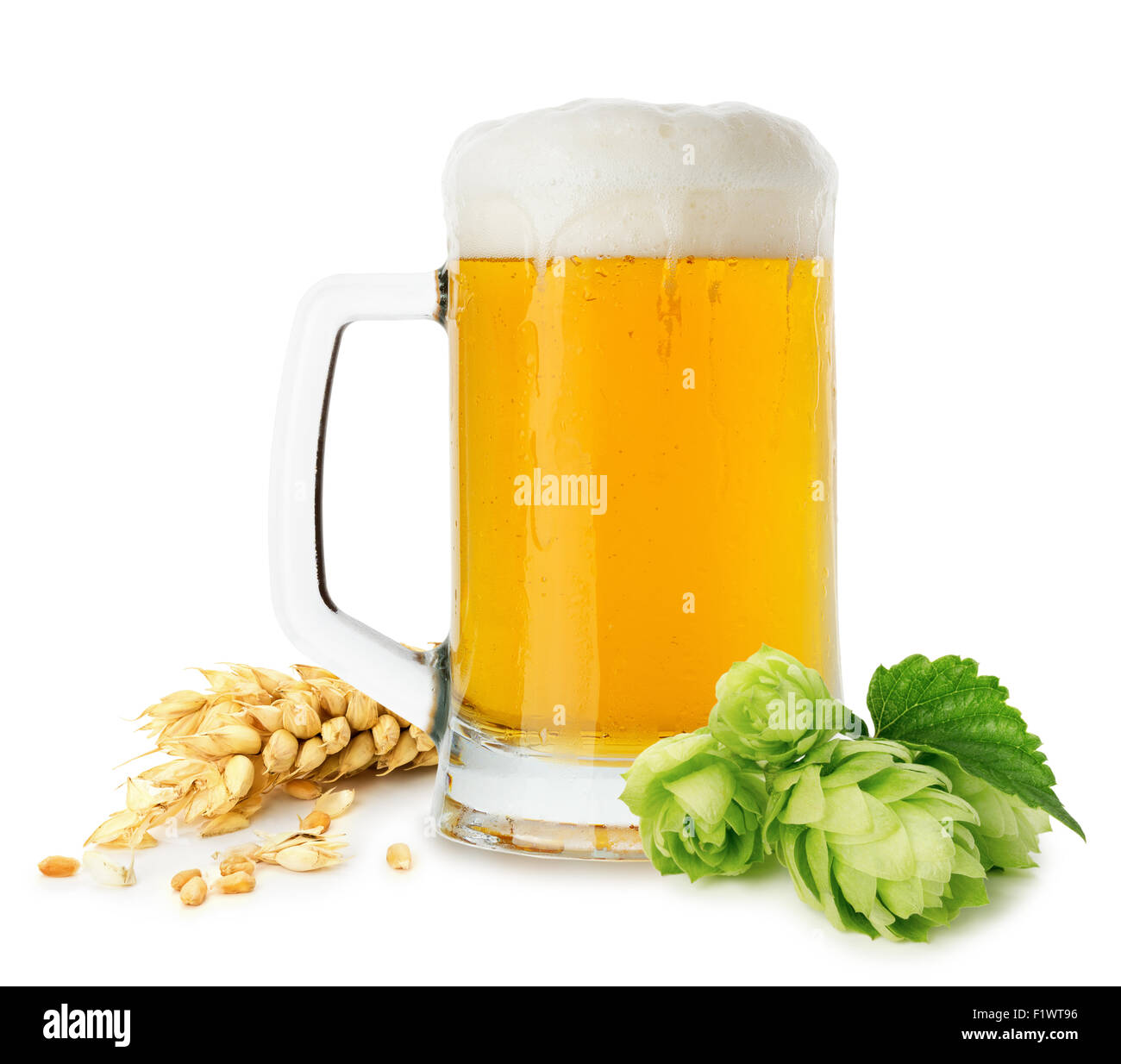 Krug Bier mit Weizen und Hopfen auf dem weißen Hintergrund isoliert. Stockfoto
