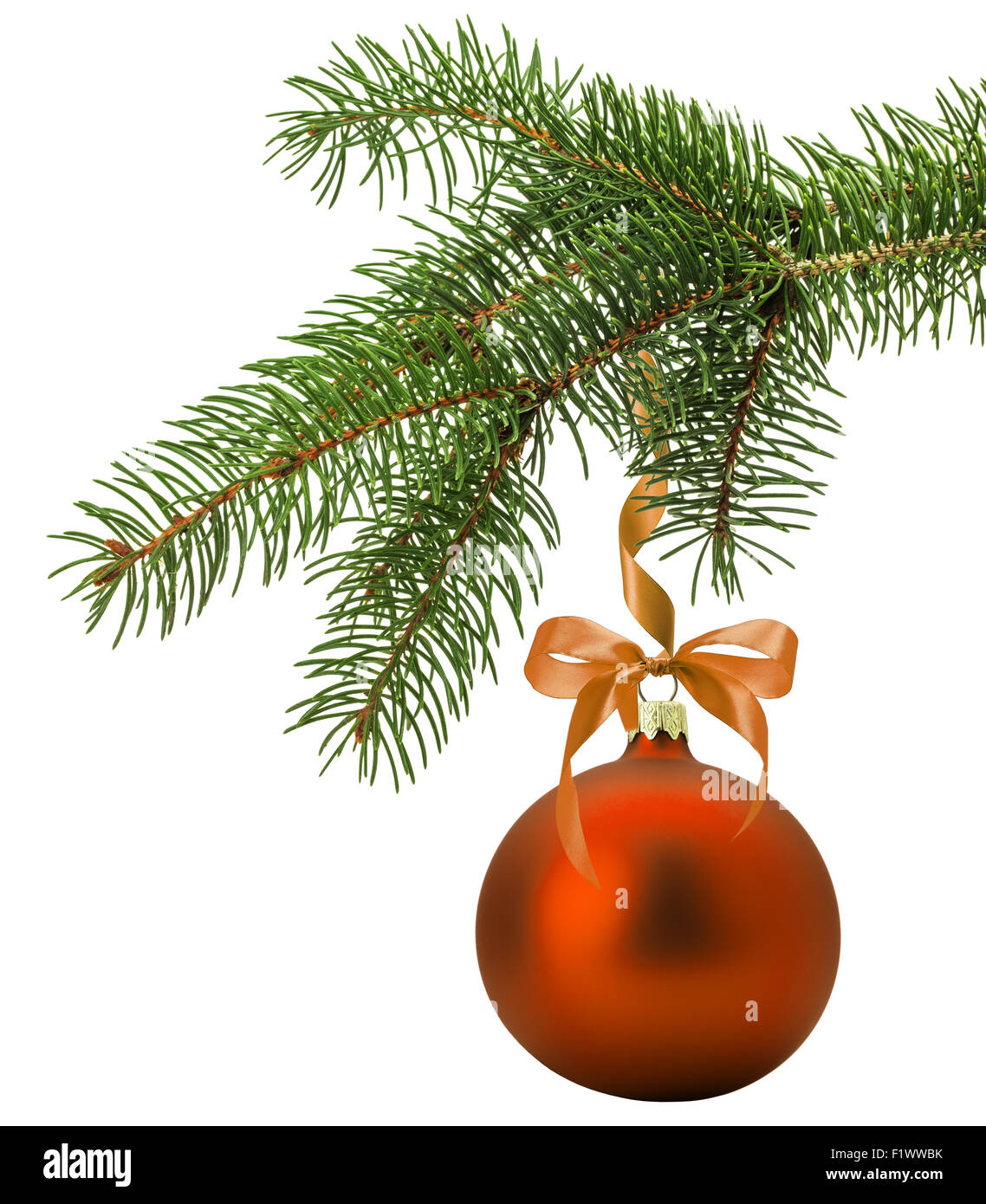 Weihnachtsbaum Zweig mit orange Kugel auf dem weißen Hintergrund isoliert. Stockfoto