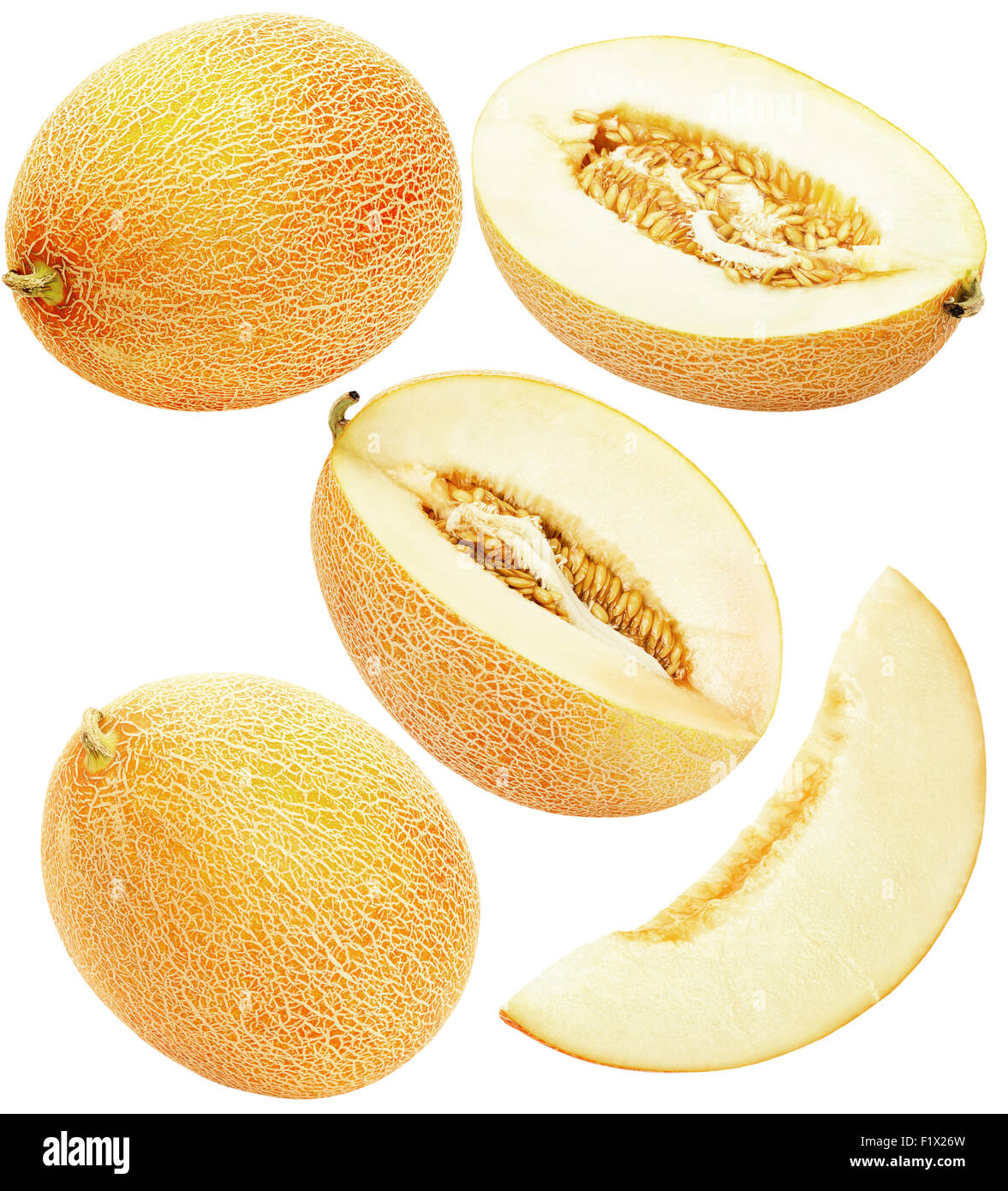 Satz von Melonen auf dem weißen Hintergrund isoliert. Stockfoto
