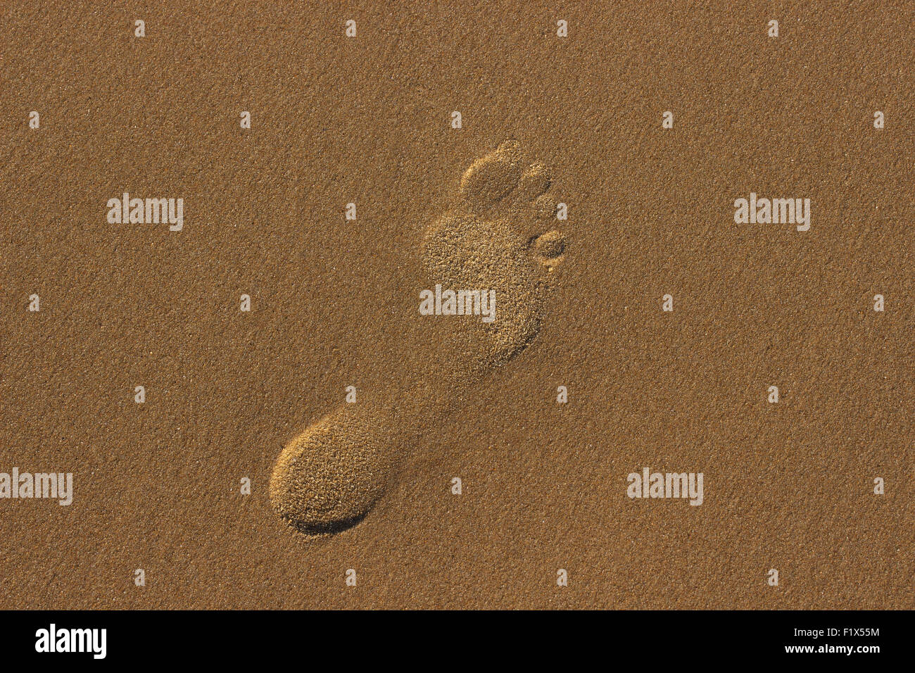 Schritt auf dem Meeressand. Stockfoto