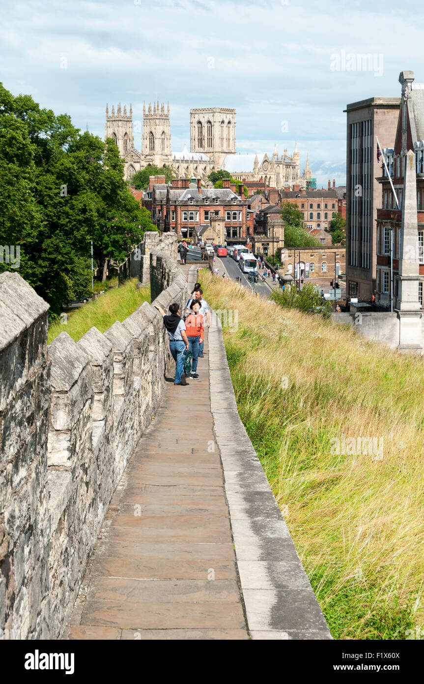 York Minster von der Stadtmauer in der Nähe von Lendal Bridge, City of York, Yorkshire, England, UK Stockfoto