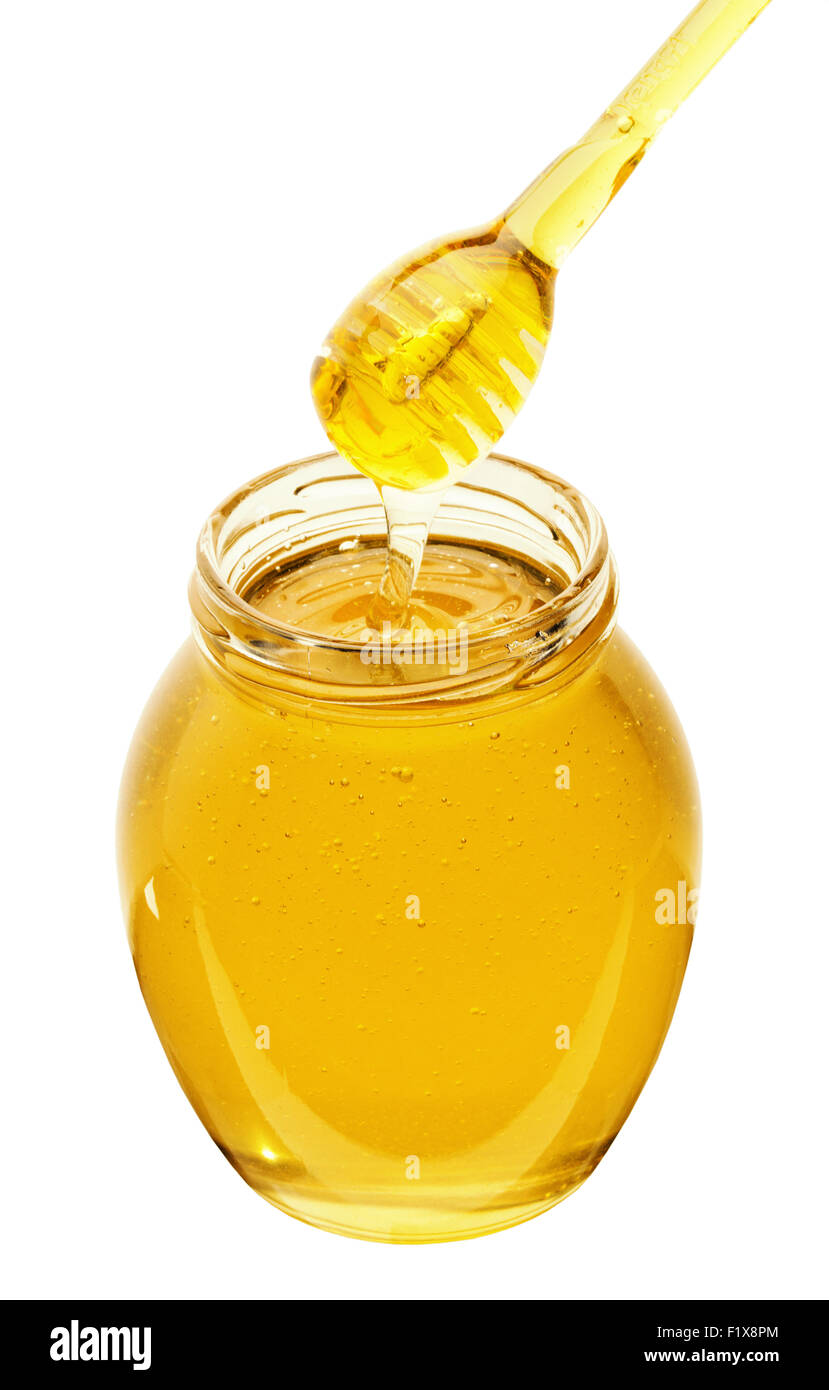 Honig tropft aus ein Honig-Dipper in Glas. Stockfoto