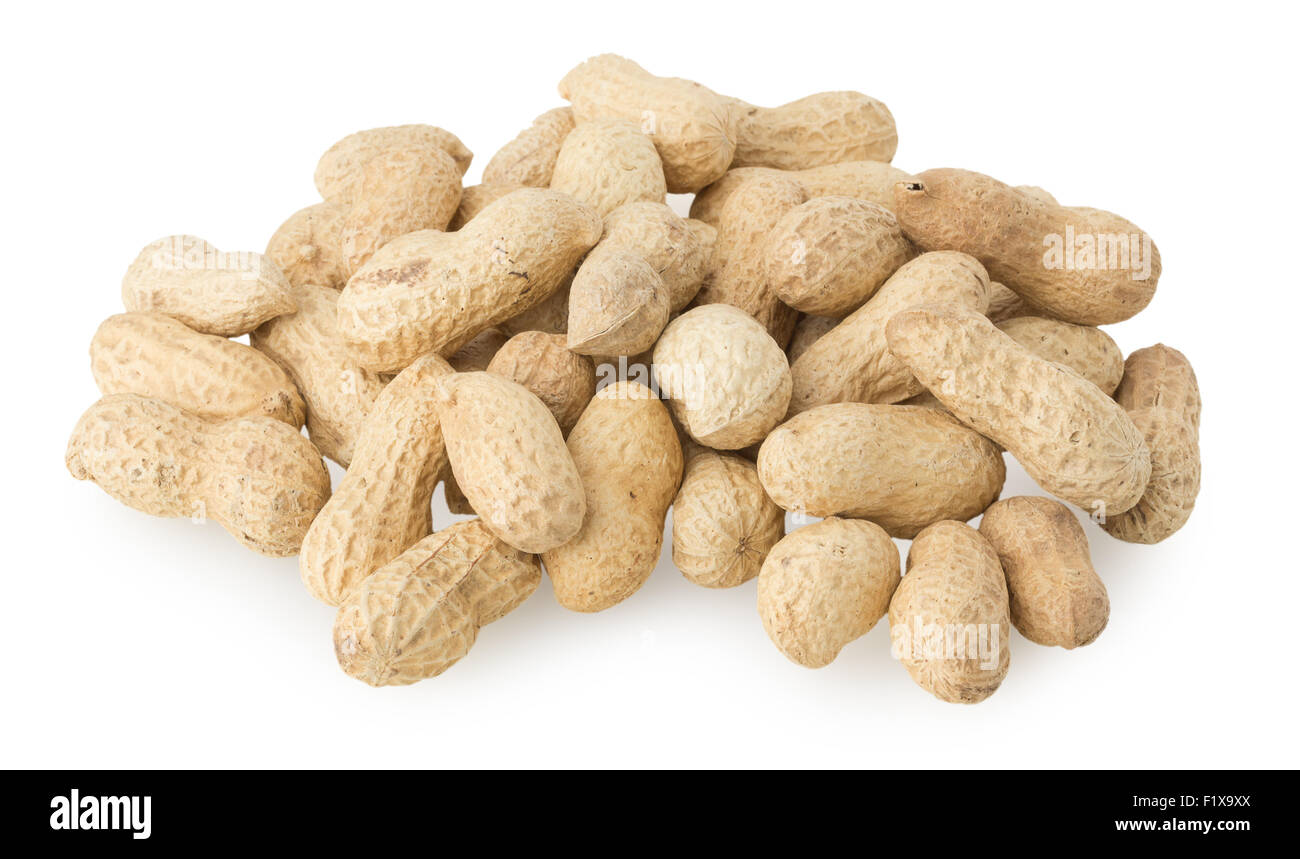 Erdnüsse auf weißem Hintergrund. Stockfoto