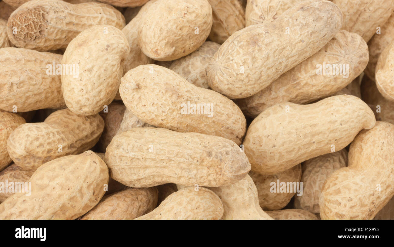 Erdnüsse in der Schale in Gruppen. Stockfoto