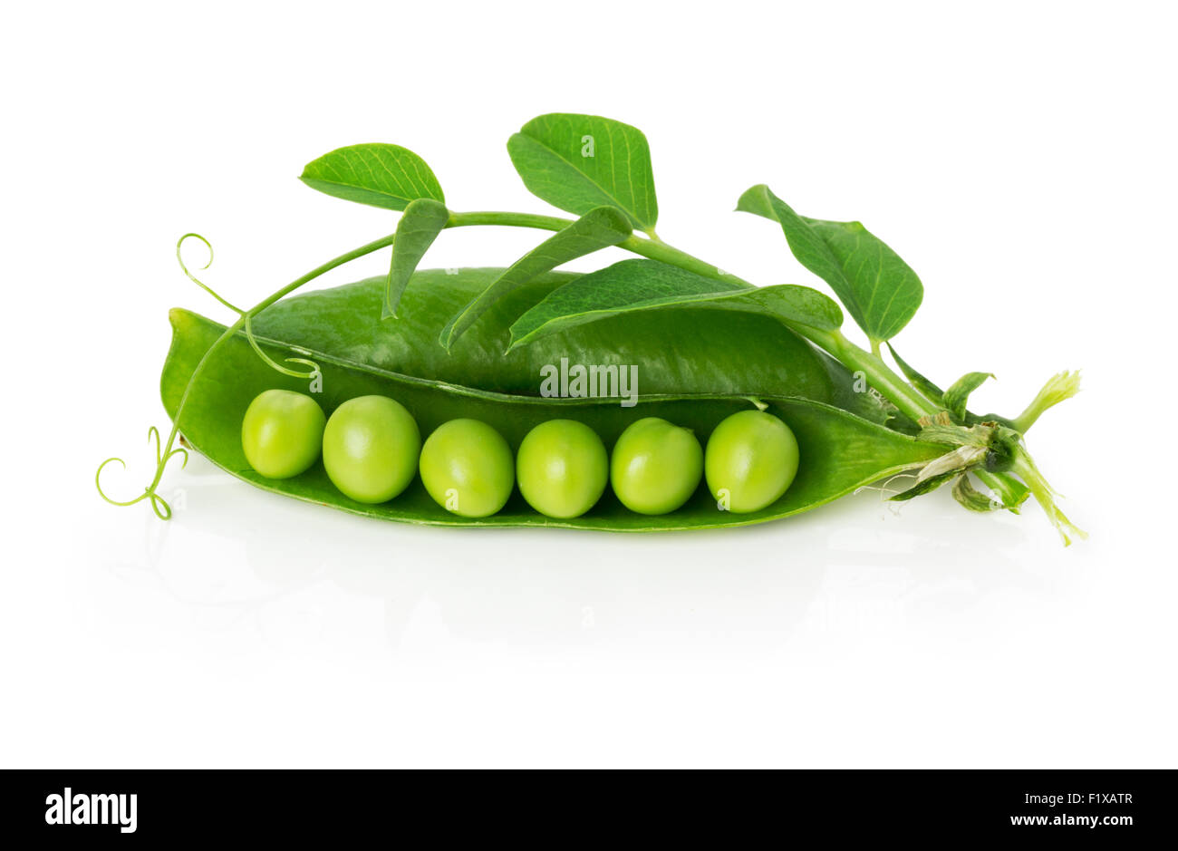 grüne Erbsen in der Schale auf dem weißen Hintergrund. Stockfoto