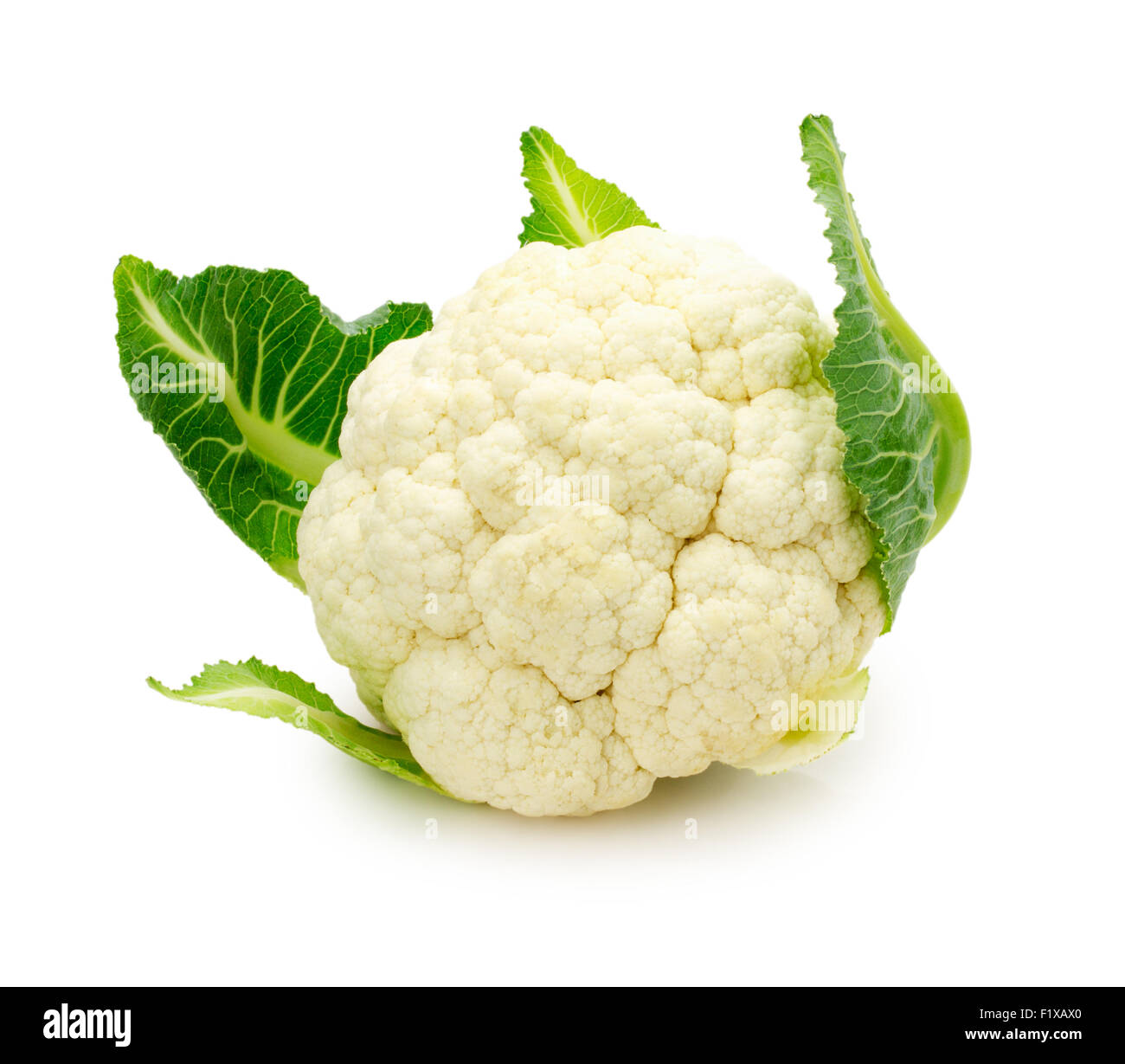 Frischer Blumenkohl isoliert auf einem weißen Hintergrund. Stockfoto
