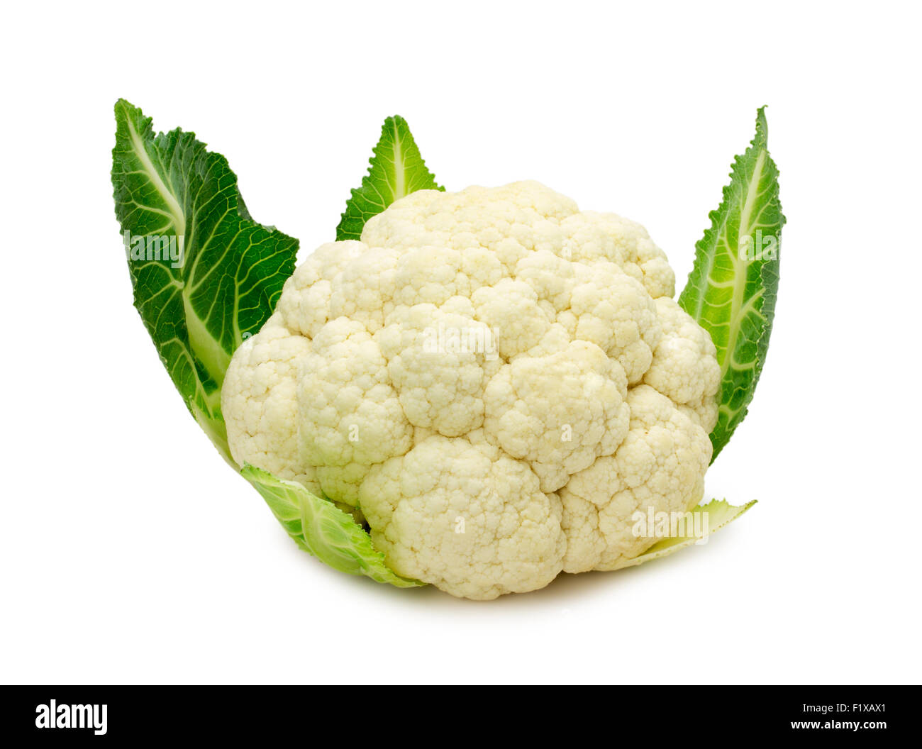Frischer Blumenkohl isoliert auf einem weißen Hintergrund. Stockfoto