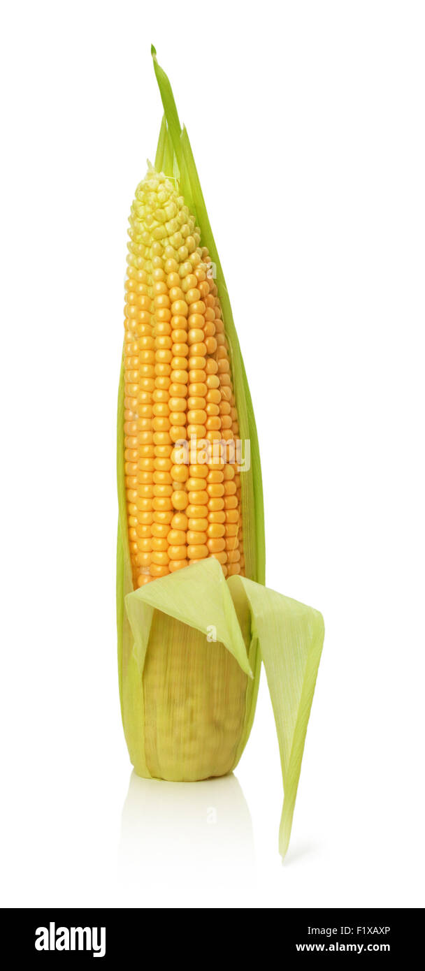 Mais auf dem weißen Hintergrund isoliert. Stockfoto