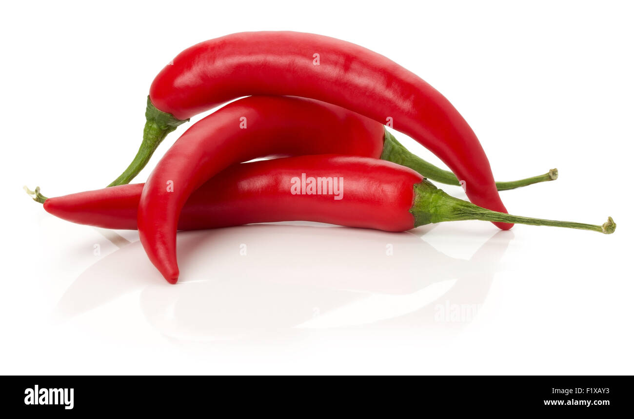 red chilly Paprika auf dem weißen Hintergrund isoliert. Stockfoto