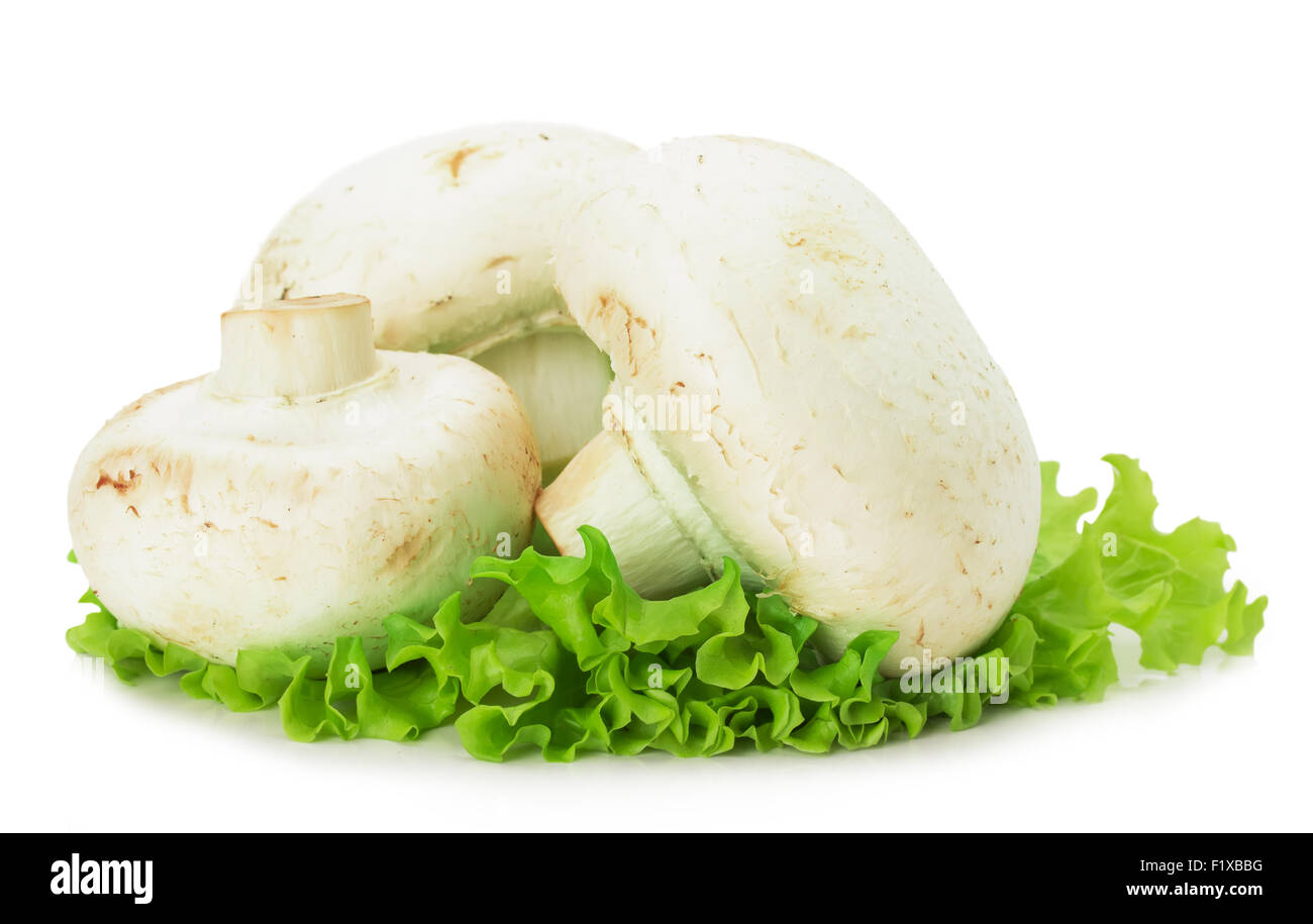 Champignons mit Salat auf dem weißen Hintergrund isoliert. Stockfoto