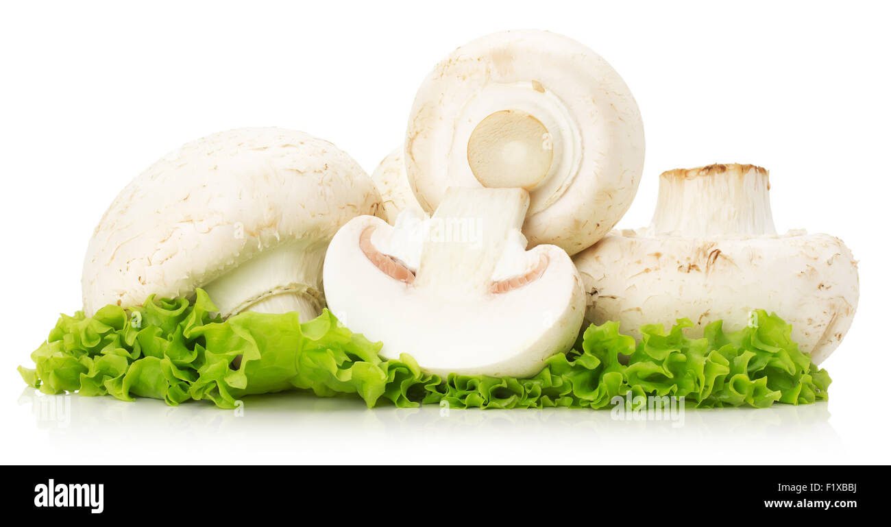 Champignons mit Salat auf dem weißen Hintergrund isoliert. Stockfoto