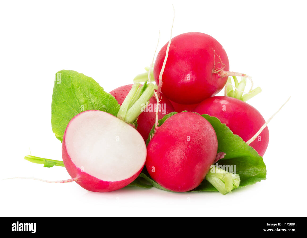 Radieschen auf dem weißen Hintergrund isoliert. Stockfoto