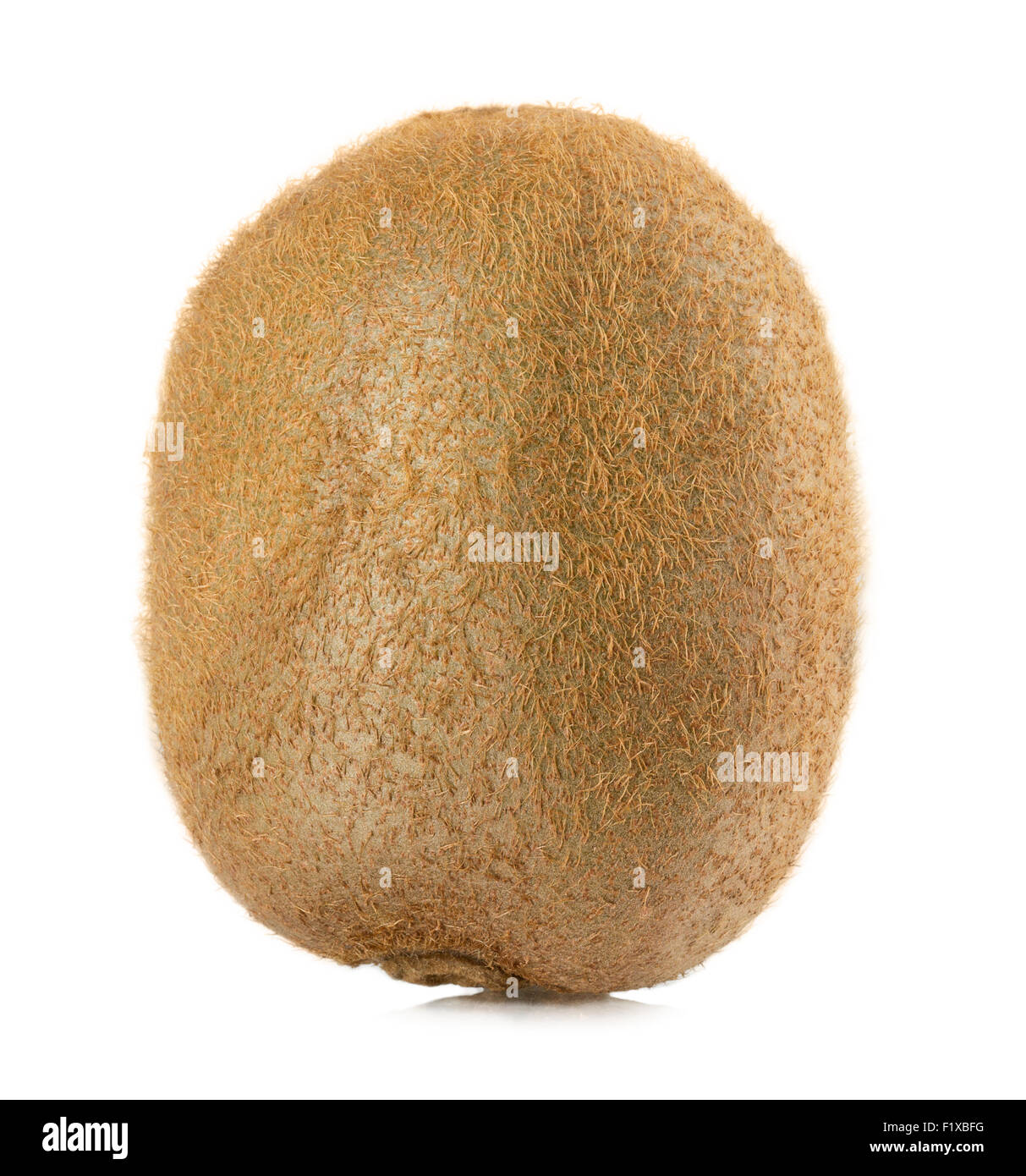 Kiwi auf einem weißen. Stockfoto