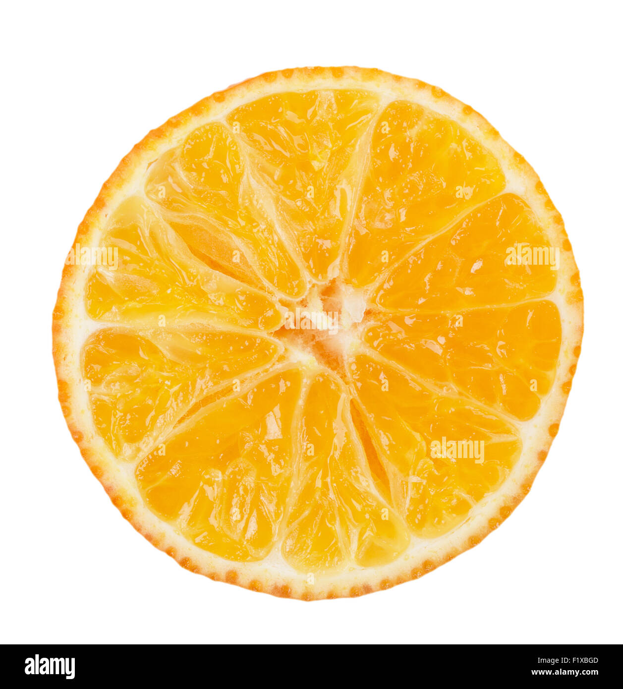 frische Orangen Mandarinen isoliert auf einem weißen Hintergrund. Stockfoto