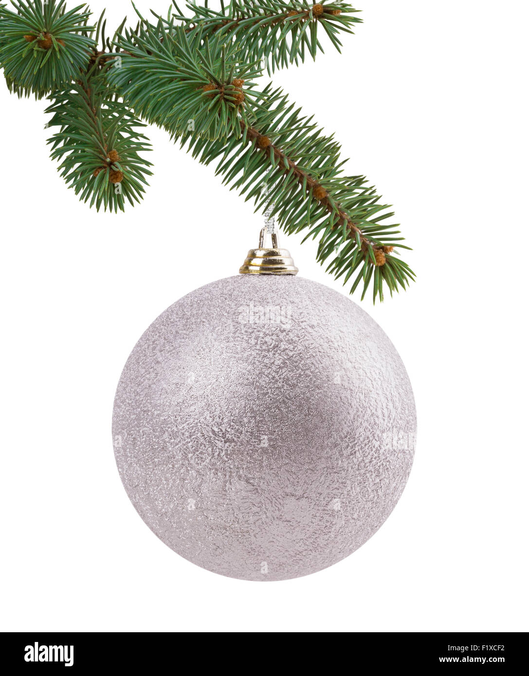 Weihnachtsbaum Zweig mit einem Ball. Stockfoto