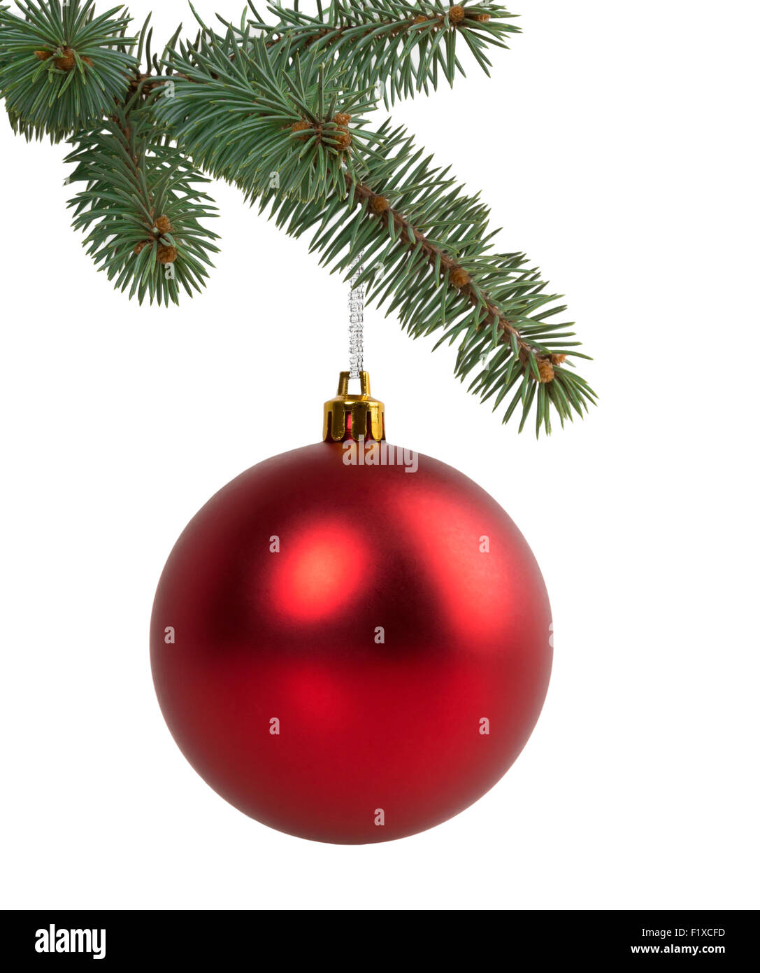 Weihnachtsbaum Zweig mit einem Ball. Stockfoto