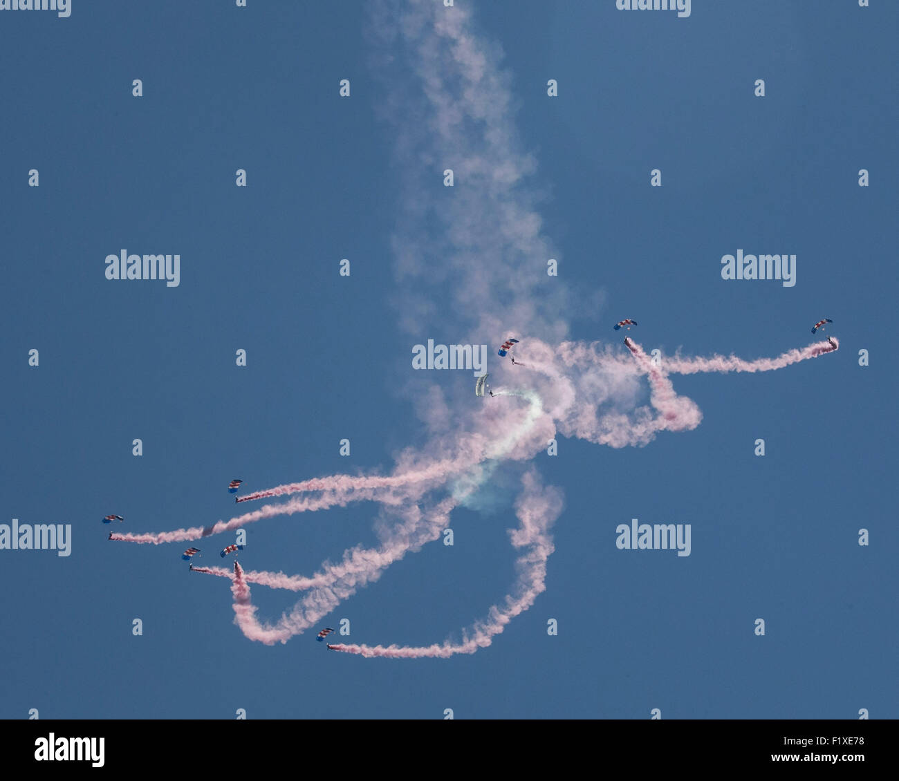 Die Royal Air Force Falcons Fallschirm Display Team auf der Airshow 2015 Shoreham Stockfoto
