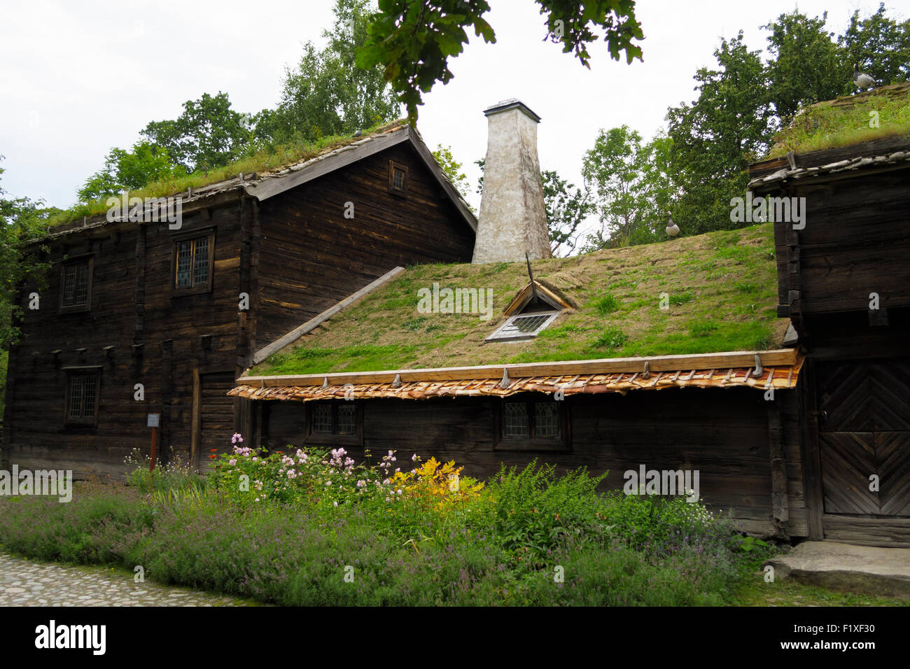 Halm auf dem grünen Dach Dach auf ein typisch skandinavisches Haus Stockfoto