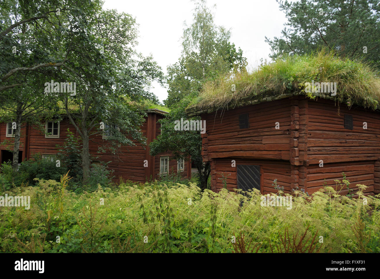 Halm auf dem grünen Dach Dach auf ein typisch skandinavisches Haus Stockfoto