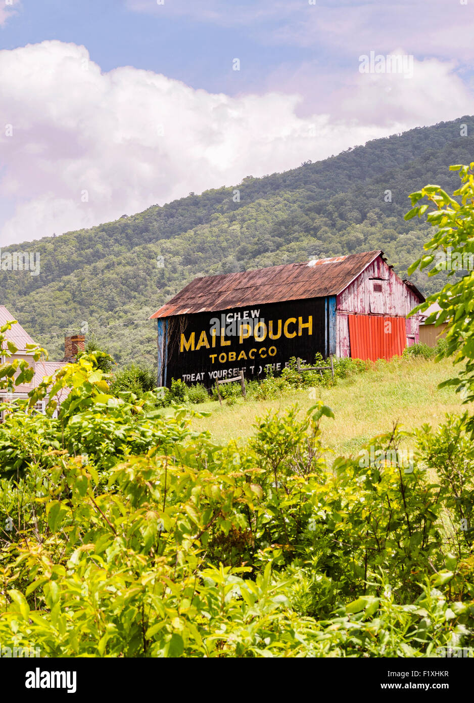 Vintage Americana Werbung kauen Mail Pouch Tabak auf lackierten Scheune ländlichen Pennsylvania Reisen Sommer kopieren Raum Plakatwand Stockfoto