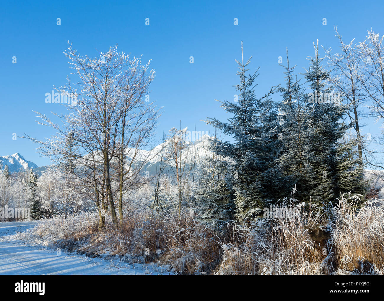 Winter-Berglandschaft. Westliche Tatra (Polen). Stockfoto